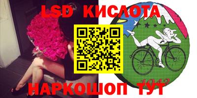 дмт Сланцы