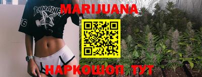 дмт Славгород