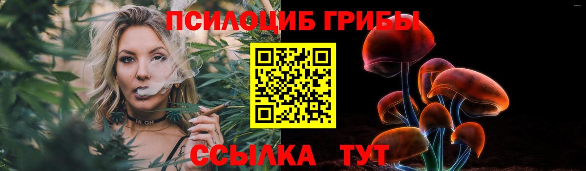 Отрадное  Галлюциногенные грибы Cubensis  где купить наркотик  Вход с VPN  Галлюциногенные грибы прущие грибы 